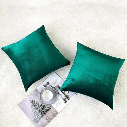 NiNi ALL Decorative Throw Pillow Covers Velvet 24x24 Inch Pack of 2 Teal Cushion Covers Soft for Couch Sofa Bedroom Living Room Outdoor