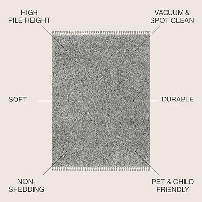 JONATHAN Y Mercer Shag Plush Tassel Charcoal Indoor Area Rug, 5x8, Contemporary, Modern, Easy-Cleaning for Living Room, Bedroom, Kitchen, Pet Friendly, Non-Shedding (MCR100B-5)