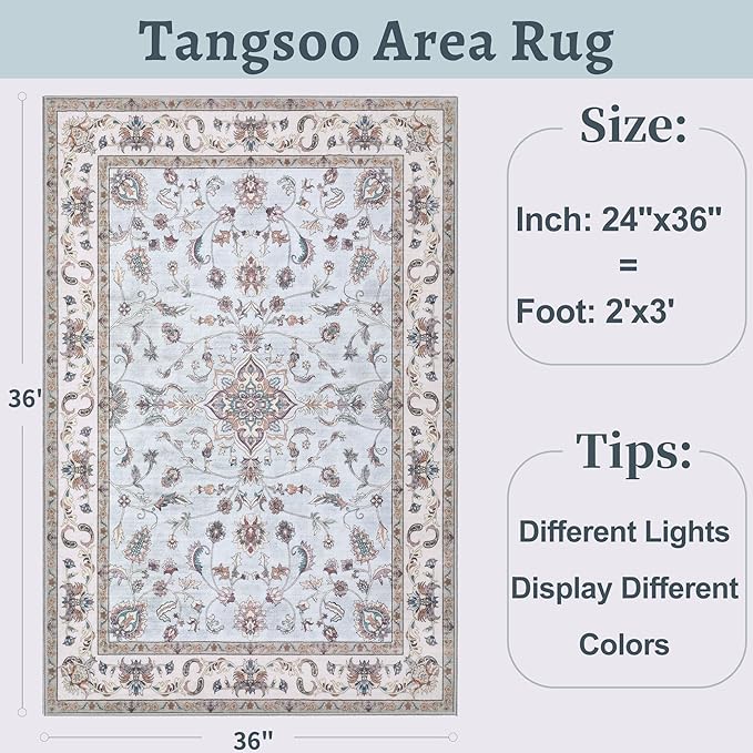 Tangsoo 2x3 Small Rug for Entryway, Washable Area Entry Rugs Non Slip, Low Pile Soft Area Rugs, Indoor Front Door Boho Throw Rug Carpet for Entrance Kitchen Bedroom Bathroom Home Decor