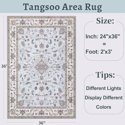 Tangsoo 2x3 Small Rug for Entryway, Washable Area Entry Rugs Non Slip, Low Pile Soft Area Rugs, Indoor Front Door Boho Throw Rug Carpet for Entrance Kitchen Bedroom Bathroom Home Decor