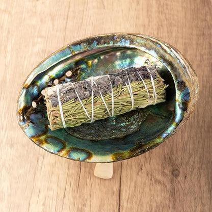 Wish Well Natural Abalone Shell 5-6 Inch Large with Wooden Stand - Incense Holder and Sage Smudge Bowl for Cleansing, Smudging, and Meditation - Palo Santo Holder & Beautiful Home Decor