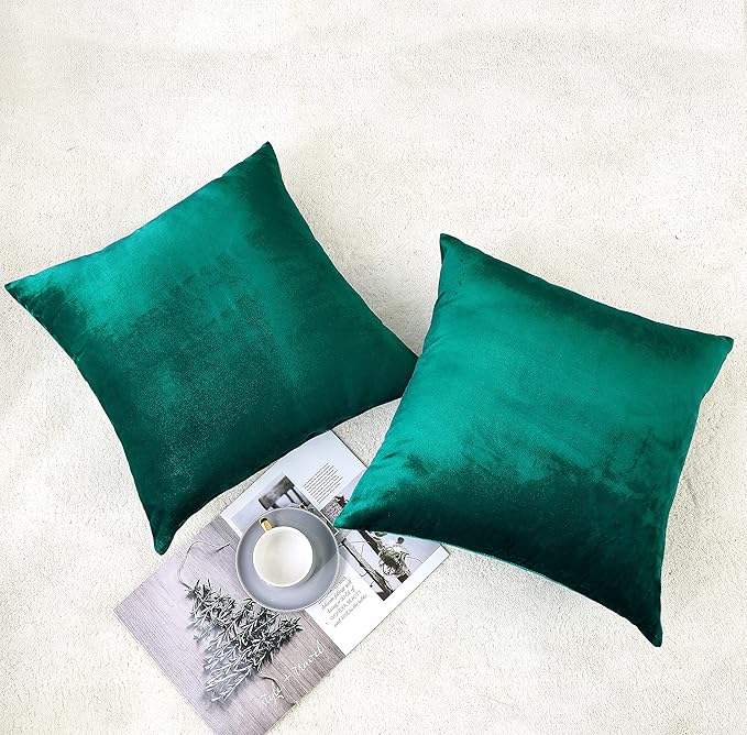 NiNi ALL Decorative Teal Throw Pillow Covers Pack of 2 Velvet 12x12 Inch Throw Pillow Cases for Couch Pillows Cover Bedroom Living Room Outdoor Pillows Cover