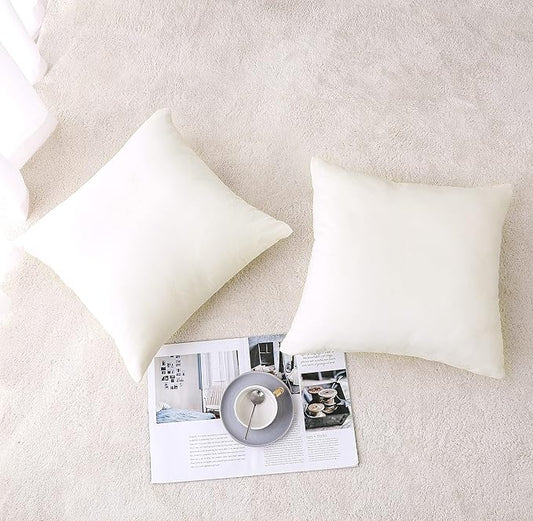 NiNi ALL Decorative Throw Pillow Covers Velvet 14x14 Inch Pack of 2 Cream White Cushion Covers Soft for Couch Sofa Bedroom Living Room Outdoor
