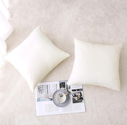 NiNi ALL Decorative Throw Pillow Covers Velvet 26x26 Inch Pack of 2 Cream White Cushion Covers Soft for Couch Sofa Bedroom Living Room Outdoor