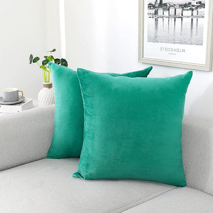 NiNi ALL Decorative Throw Pillow Covers Velvet Soft for Couch Sofa Bedroom Living Room Outdoor Pack of 2 20x20 Inch Aqua Green