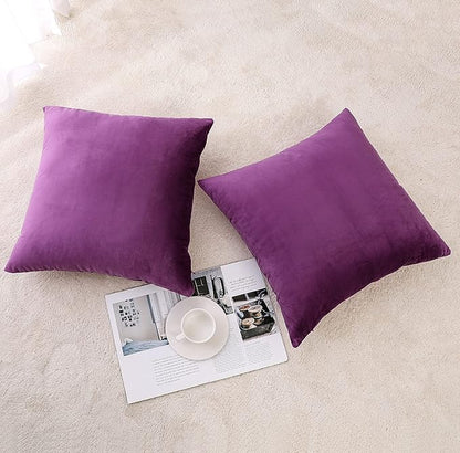 NiNi ALL Decorative Throw Pillow Covers Velvet Soft for Couch Sofa Bedroom Living Room Outdoor Pack of 2 20x20 Inch Purple