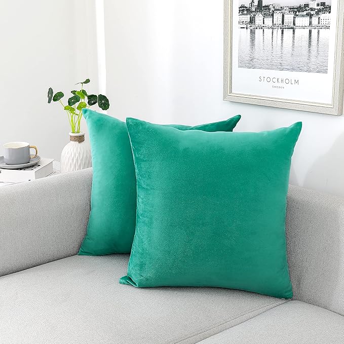 NiNi ALL Decorative Throw Pillow Covers Velvet 22x22 Inch Pack of 2 Aqua Green Cushion Covers Soft for Couch Sofa Bedroom Living Room Outdoor