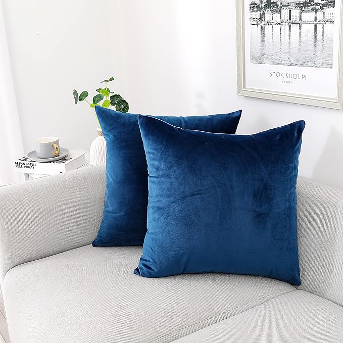 NiNi ALL Decorative Throw Pillow Covers Velvet 20x20 Inch Pack of 2 Blue Cushion Covers Soft for Couch Sofa Bedroom Living Room Outdoor
