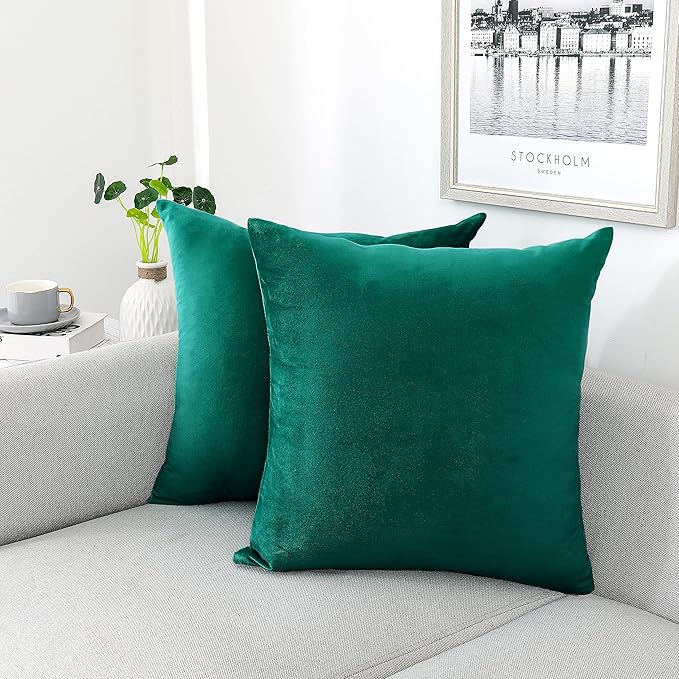 NiNi ALL Decorative Teal Throw Pillow Covers Pack of 2 Velvet 12x12 Inch Throw Pillow Cases for Couch Pillows Cover Bedroom Living Room Outdoor Pillows Cover