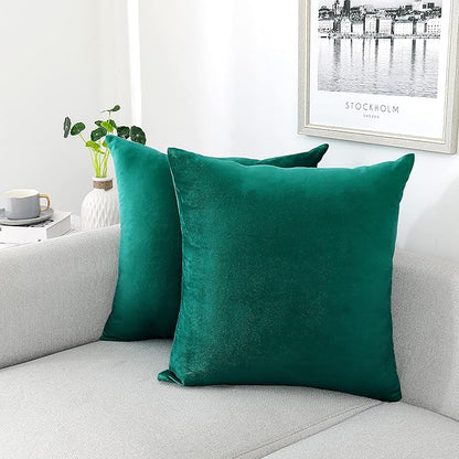 NiNi ALL Decorative Teal Throw Pillow Covers Pack of 2 Velvet 14x14 Inch Throw Pillow Cases for Couch Pillows Cover Bedroom Living Room Outdoor Pillows Cover