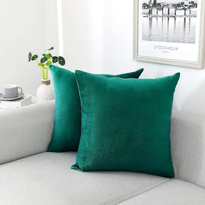 NiNi ALL Decorative Throw Pillow Covers Velvet Soft for Couch Sofa Bedroom Living Room Outdoor Pack of 2 18x18 Inch Teal
