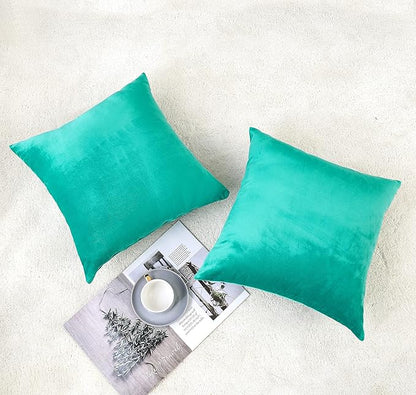 NiNi ALL Decorative Throw Pillow Covers Velvet Soft for Couch Sofa Bedroom Living Room Outdoor Pack of 2 18x18 Inch Aqua Green