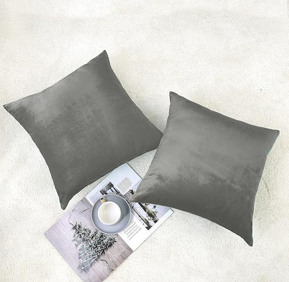 NiNi ALL Decorative Throw Pillow Covers Velvet Soft for Couch Sofa Bedroom Living Room Outdoor Pack of 2 20x20 Inch Grey