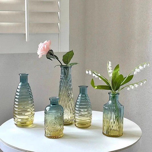 5PCS Vintage Gradient Glass Bud Vase Desktop Plant Holders Hydroponic Decorative French Relief Vase for Home Office Table Decor